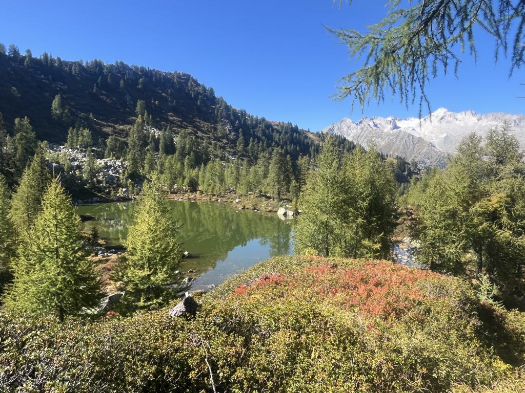 Laghi.......del TRENTINO